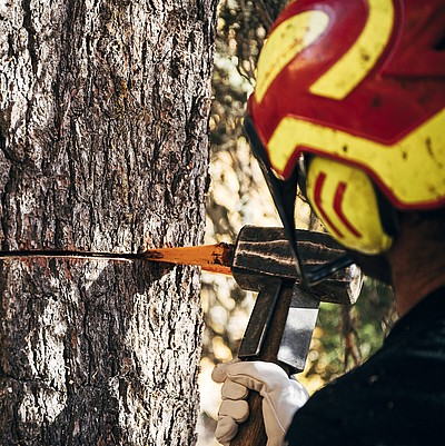 Biosphärenpark holzstraße