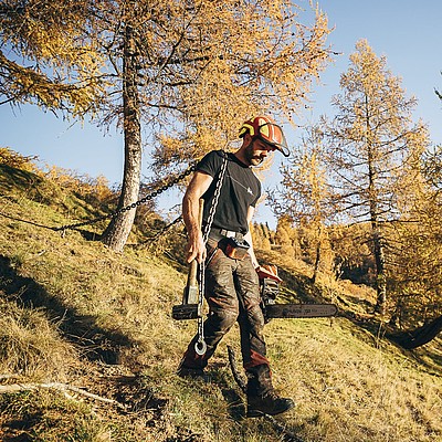 region nockberge holz