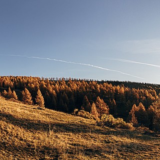 Biosphärenpark Nockberge im Herbst nockberge zirbenholz