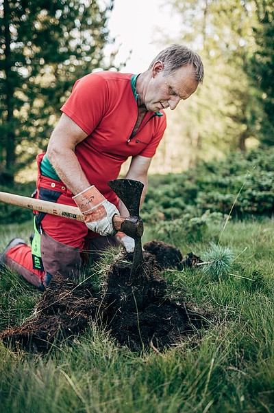 nockberge leichte wanderung