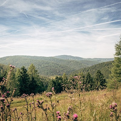 Pleschberger urlaub nockberge