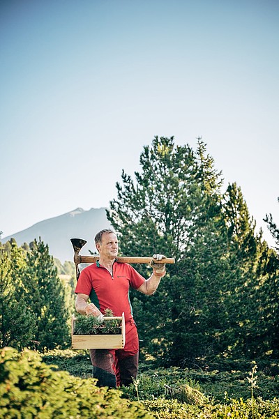 nationalpark nockberge