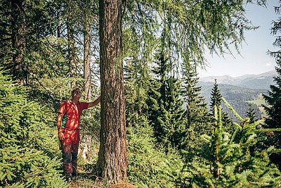 holzstraße nockberge