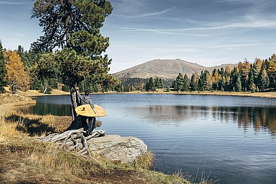 Nockholz Surfbrett bild