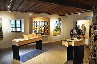 Austellung Zirbenholz Austellung Zirbenholz