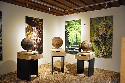 Biosphärenpark Holzausstellung Kärnten Holzausstellung