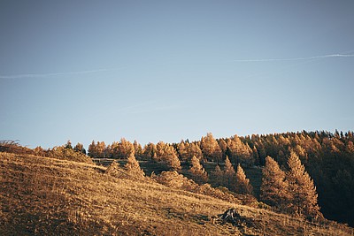 Biosphärenpark Nockberge im Herbst Kärnten lust am leben