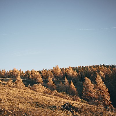 Biosphärenpark Nockberge im Herbst Kärnten lust am leben