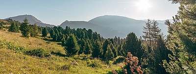 Biosphärenpark Nockberge im Frühling urlaub in kärnten