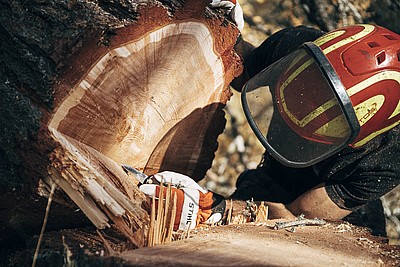 Lärchenholz prismiert