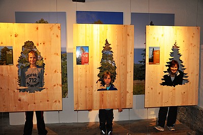 heimische Holzarten heimische Holzarten