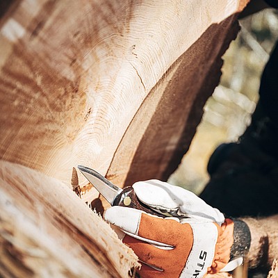 Biosphärenpark Nockberge ansprechpartner
