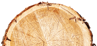Lärchenholz lärchenholz icon